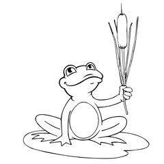 Close-up of a frog on a white background. Contour drawing, vector graphics.