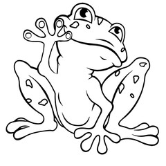 Close-up of a frog on a white background. Contour drawing, vector graphics.