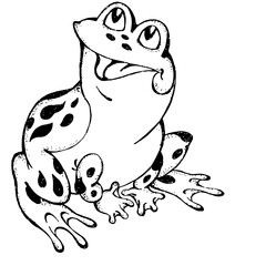 Close-up of a frog on a white background. Contour drawing, vector graphics.