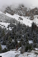 snow covered mountains