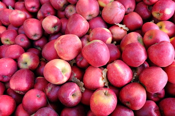 red apples on a market