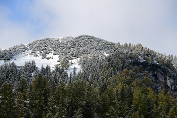 snow covered mountains