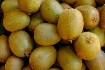kiwi fruit on market stall