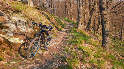 Fototapeta na wymiar Mountainbike fahren in der Urlaubsregion Harz Selketal
