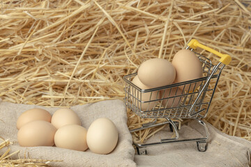 Fresh chicken eggs in straw on a mini shopping cart. Online delivery concept for farm organic eggs. Copy space.