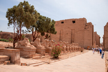 Excursion acquaints tourists with the Karnak Temple Complex or Karnak, in Egypt.