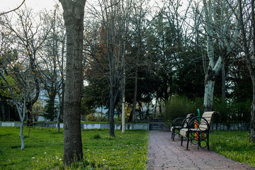 Fototapeta premium Bench standing empty in the park without people. pandemic process quarantine.