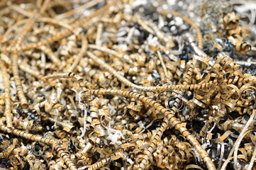 金属の削りカス