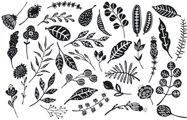 different hand drawn silhouettes cut out tree branches, flowers, foliage elements set, isolated vector illustration