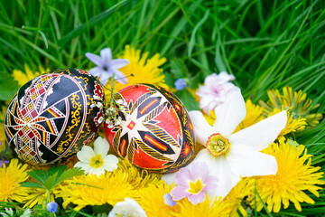 Unique easter painted eggs in a natural grass and flowers background.