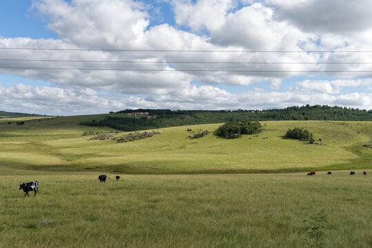 Eswatini (Swasiland) - Landschaft - allgemein