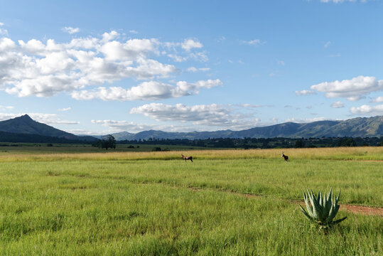 Eswatini (Swasiland) - Landschaft - allgemein