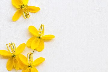Fototapeta na wymiar yellow flowers arrangement flat lay postcard style on background white 