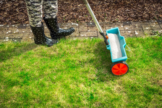 Fertilize lawn - Fertilizer spreader on green lawn
