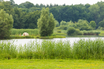 Biotop mit Schilf