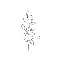 Leaves Vector Hand Drawn Line Art Drawing. Minimalist Trendy Contemporary Floral Design Perfect for Wall Art, Prints, Social Media, Posters, Invitations, Branding Design.