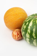 Watermelon and melon in studio