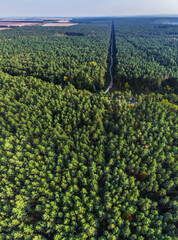 Fototapeta na wymiar Aerial panoramic view on evergreen pine forest.
