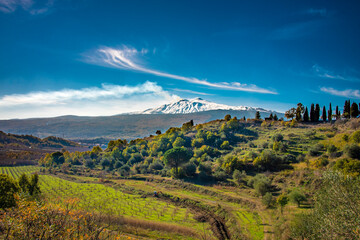 Agriculture in Sicily , Mt Etna in the background 