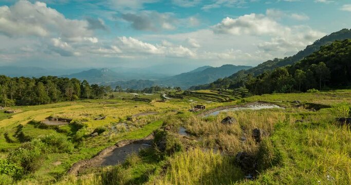 Landscape timelapse of rice fields and terraced rice paddies among green tropical forest in the Tana Toraja region, near Rantepao, on the island of Sulawesi, Indonesia, Southeast Asia.