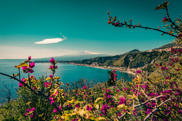 Purple flowers, turquoise sea and volcano,  vertical image 