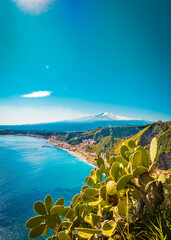 Natural scenery  of Mt. Etna and the coast in Taormina, Sicily. Cactus plant in the foreground, vertical image  - obrazy, fototapety, plakaty