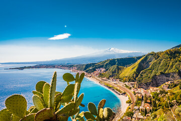 Natural scenery  of Mt. Etna and the coast in Taormina, Sicily. Cactus plant in the foreground 