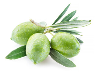 Green natural olives with leaves isolated on a white background.