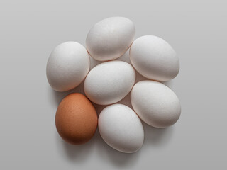 Brown-shelled egg, among white-shelled eggs