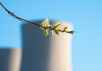 Willow catkins branch against a nuclear power plant