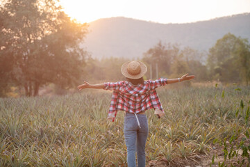 Asian female farmer see growth of pineapple in farm, Young pretty farmer woman standing on farmland with arms raised up joyful elated happiness. Organic farmer checking, agriculture business concept