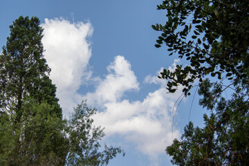 Shape of a baby in a cradle in the clouds