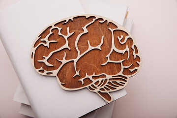 Wooden model of brain and books at desk