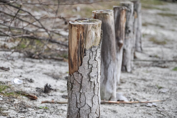 poles on the shore