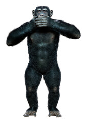3D Rendering Chimpanzee on White