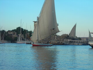 Vela sul nilo