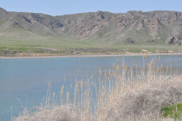 The Ili River in Kazakhstan in early spring