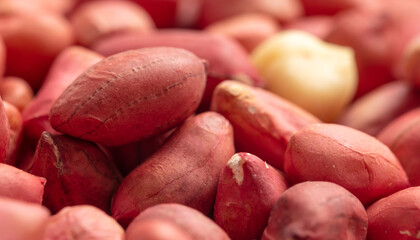 Close up of peanut nuts as background. Macro