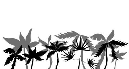 Silhouettes of palm trees. Tropical coast. Banner for a travel company. Vector illustration of exotic plants.
