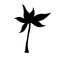 Palm tree silhouette. Vector illustration. Tropical plant.