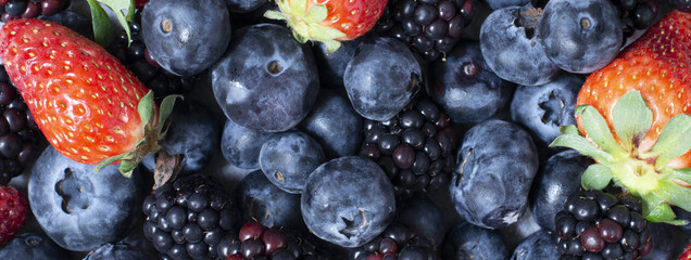 Red fruits banner: strawberries, raspberries and blueberries on a grey background