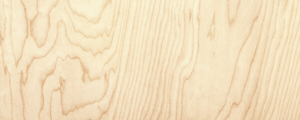 Light wood texture with a natural pattern. Panoramic wooden background