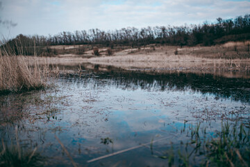 a small lake in an orange field