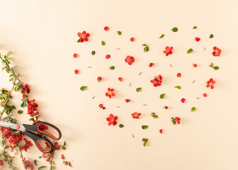 Fresh spring flowers, scissors and heart shape made with red flowers, petals, thorns and green leaves. Creative nature concept. Flat lay.