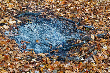 Ashes from a burnt fire among dry autumn leaves