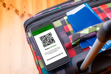 The woman holding the mobile phone a mockup for digital vaccination certificate in one hand and...