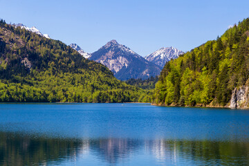 Fototapeta na wymiar Alpsee lake in Bavarian alps at Schwangau - Germany.