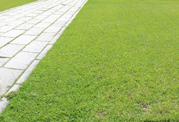 芝生と石畳