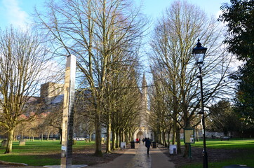 Winchester cathedral and park in spring