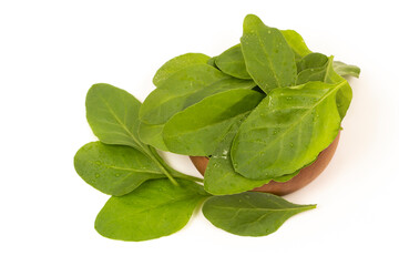 Fresh Spinach in bowl stock photo